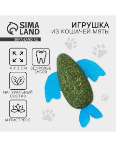 Игрушка для кошек «Рыба» из кошачьей мяты, 8 х 2.5 см Пушистое счастье