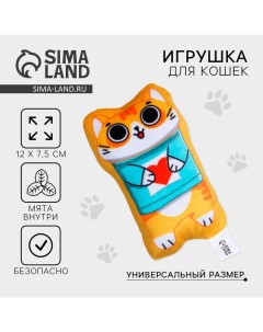 Игрушка для кошек с мятой «?Кошак»?, 12 х 7,5 см Пушистое счастье