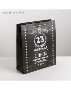 Пакет подарочный ламинированный вертикальный, упаковка, «Защитнику», M 26 х 30 х 9 см Дарите счастье