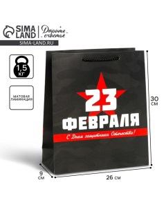 Пакет подарочный ламинированный вертикальный, упаковка, «С праздником!», M 26 х 30 х 9 см Дарите счастье