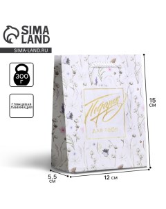 Пакет подарочный ламинированный, упаковка, «Gift for you», S 12 х 15 х 5,5 см Доступные радости