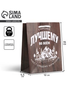 Пакет подарочный ламинированный, упаковка, «Самому лучшему во всём», S 12 х 15 х 5,5 см Доступные радости