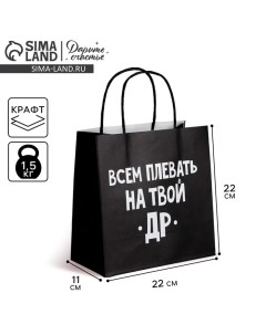 Пакет подарочный, упаковка, «Всем плевать на твой др», 22 х 22 х 11 см Дарите счастье