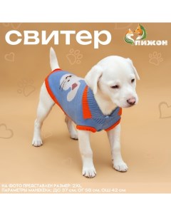 Свитер "Зайка", 2XL (ДС 34, ОШ 34, ОГ 32-51 см) Пижон