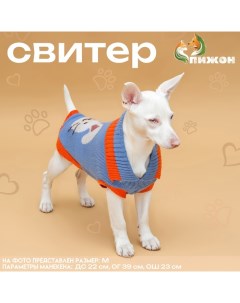 Свитер "Зайка", XS (ДС 17, ОШ 17, ОГ 23-37 см) Пижон