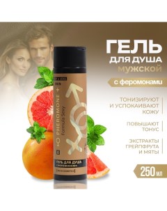 Гель для душа мужской №8, 250 мл Formula sexy