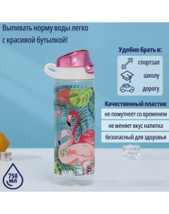 Бутылка для воды пластиковая «Фламинго», 750 мл, цвет розовый Herevin