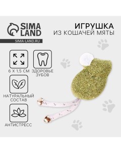 Игрушка для кошек «Мышка» из кошачьей мяты, 6 х 1,5 см Пушистое счастье