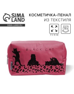 Косметичка «Black Cat» 17х10х5 см, на молнии Nazamok