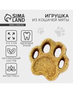 Игрушка для кошек «Лапа» из кошачьей мяты, 5,5 х 1,5 см Пушистое счастье