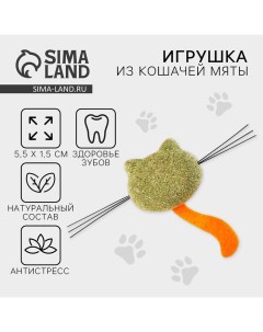 Игрушка для кошек «Кошачья мордочка» из кошачьей мяты, 5,5 х 1,5 см Пушистое счастье