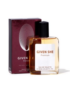 Туалетная вода для мужчин Given shy premium, по мотивам Givenchy pour homme, 100 мл Абар