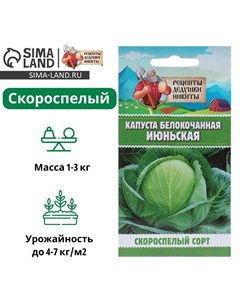 Семена Капуста белокочанная "Июньская", 0,5 г Рецепты дедушки никиты