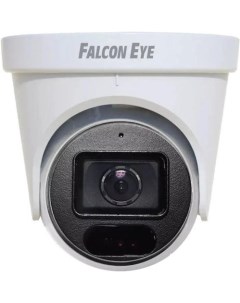 IP-камера FE-ID4-30 Falcon eye