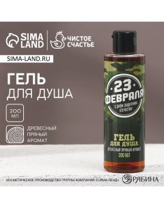 Гель для душа «С 23 Февраля!», 250 мл, аромат древесно-пряный Чистое счастье