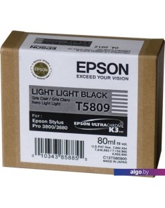 Картридж C13T580900 Epson