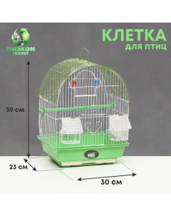 Клетка для птиц укомплектованная Bd-1/3c, 30 х 23 х 39 см, зелёная Пижон