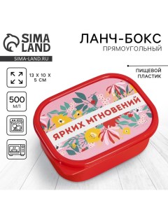 Ланч-бокс прямоугольный «Ярких мгновений», 500 мл Соломон