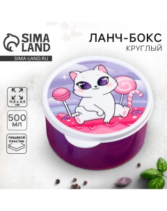 Ланч-бокс «Кошечка», 500 мл Foodvibes