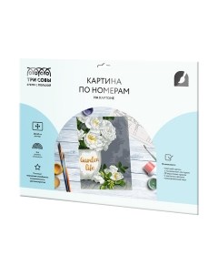 Картина по номерам Три совы