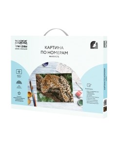 Картина по номерам Три совы