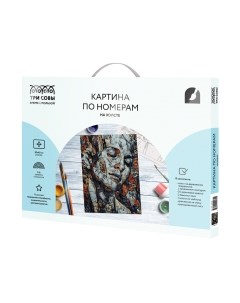 Картина по номерам Три совы