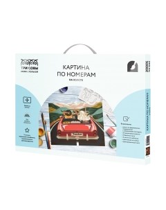 Картина по номерам Три совы