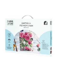 Картина по номерам Три совы