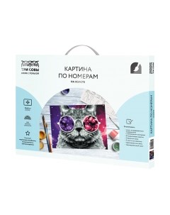 Картина по номерам Кошачий космос / КХ_44089 Три совы