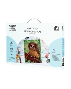 Картина по номерам Музыкант / КХ_44092 Три совы