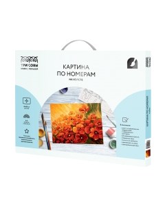 Картина по номерам Маковое поле / КХ_44153 Три совы