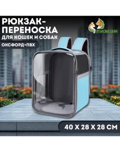 Рюкзак-переноска для кошек и собак, оксфорд+ПВХ, 40 х 28 х 28 см, голубой Пижон