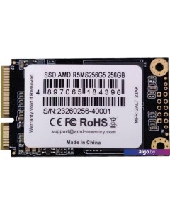 SSD Radeon R5 256GB R5MS256G5 Amd