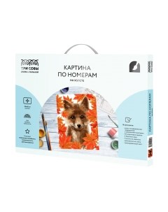 Картина по номерам Три совы