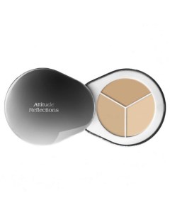 Консилер для лица Perfect Cover Concealer Palette 3.9 Dr. althea