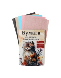 Бумага для акварели,пастели,гуаши,темперы А4, 20 листов, блок 200 г/м2, 5 цветов, в папке Licht