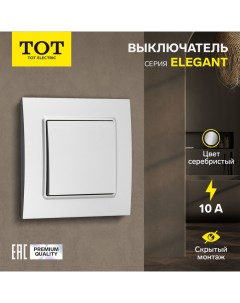 Выключатель Elegant, 10 А, 1 кл., скрытый, серебристый Tot