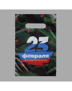 Пакет "23 февраля", полиэтиленовый, с вырубной ручкой, 20 х 30 см, 30 мк Upak land