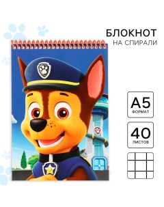 Блокнот А5, на гребне, 40 листов, Щенячий патруль Paw patrol