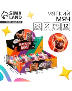 Мяч детский мягкий «Домашние животные» 6,3см, в шоубоксе, МИКС Funny toys