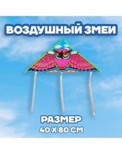 Воздушный змей «Сова», с леской Funny toys