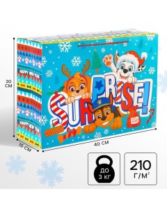 Пакет-коробка «Surprise», 15х40х30 см, Paw Patrol Дарите счастье