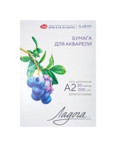 Бумага для Акварели в папке А2, ЗХК "Ладога", 20 листов, 200 г/м2, среднезернистая, 252781931 Завод художественных красок «невская палитра»