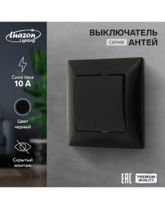 Выключатель "Антей", 10 А, 1 клавиша, скрытый, черный Luazon lighting