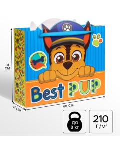 Пакет подарочный «Best pup»,31х40х11 см, упаковка, Щенячий патруль Paw patrol