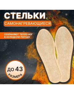 Стельки для обуви, самонагревающиеся, р-р RU до 38 (р-р Пр-ля до 43), 25 см, пара, цвет бежевый Onlitop