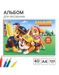 Альбом для рисования А4, 40 листов, склейка Paw patrol