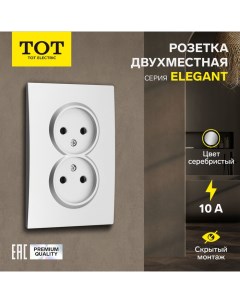 Розетка двухместная Elegant, 10 А, скрытая, без з/к, серебристая Tot