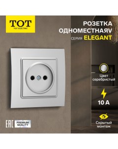 Розетка одноместная Elegant, 10 А, скрытая, без з/к, серебристая Tot