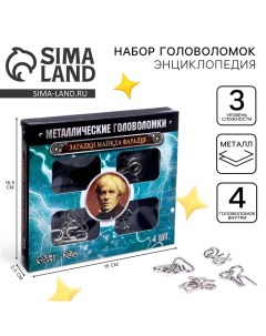 Головоломка металлическая «Загадки Майкла Фарадея», набор 4 шт. Puzzle